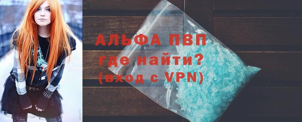 гашик Новозыбков