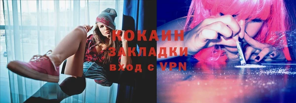 сатива Новодвинск