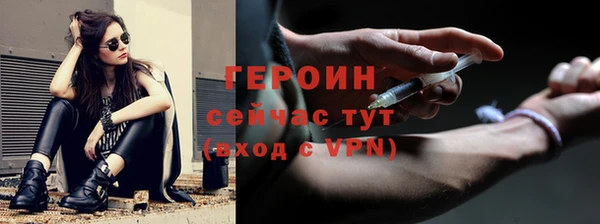 сатива Новодвинск