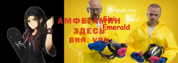 сатива Новодвинск