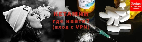 сатива Новодвинск