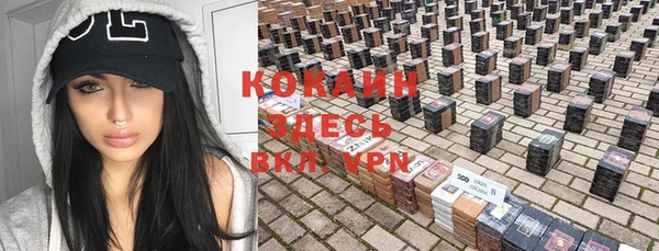 гашик Новозыбков