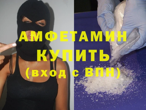 сатива Новодвинск