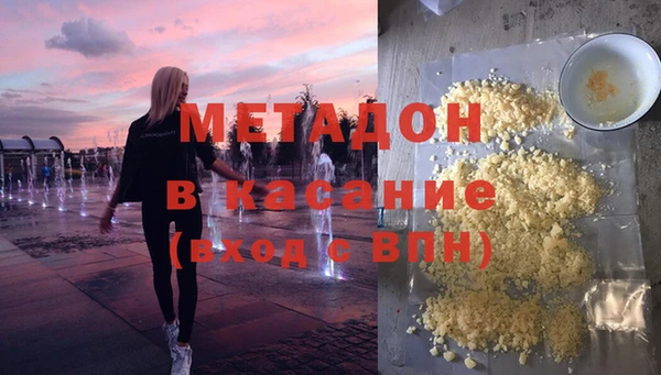 сатива Новодвинск