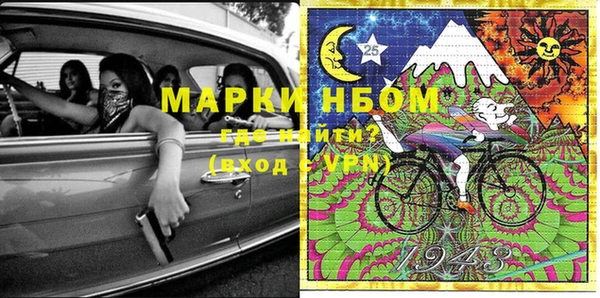 гашик Новозыбков