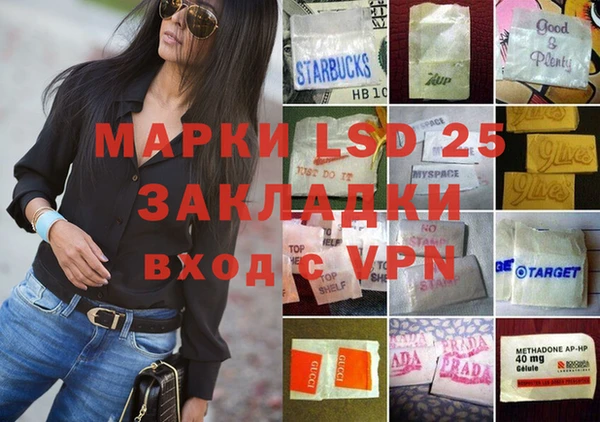 сатива Новодвинск