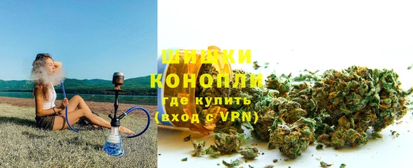 гашик Новозыбков