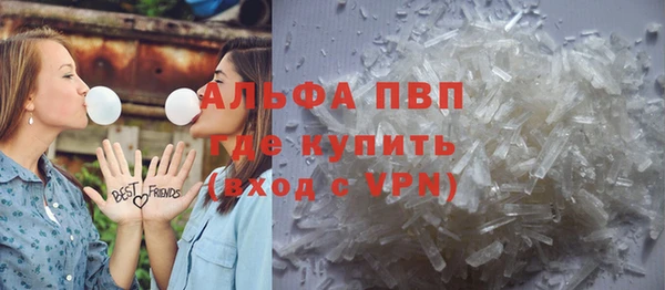 сатива Новодвинск