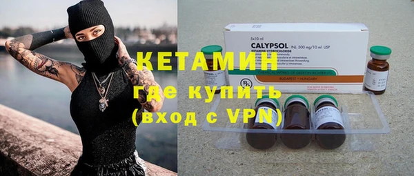 сатива Новодвинск