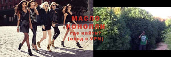 гашик Новозыбков
