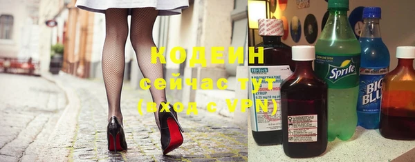сатива Новодвинск