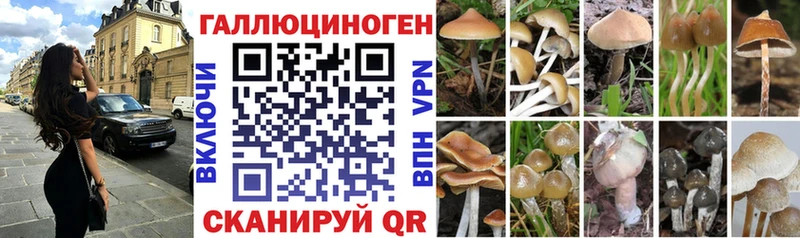 площадка Telegram  Алдан  Галлюциногенные грибы GOLDEN TEACHER 